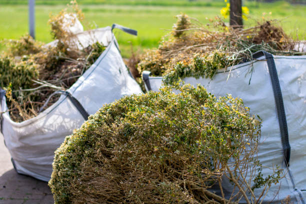 Shed Removal in Ramona, CA